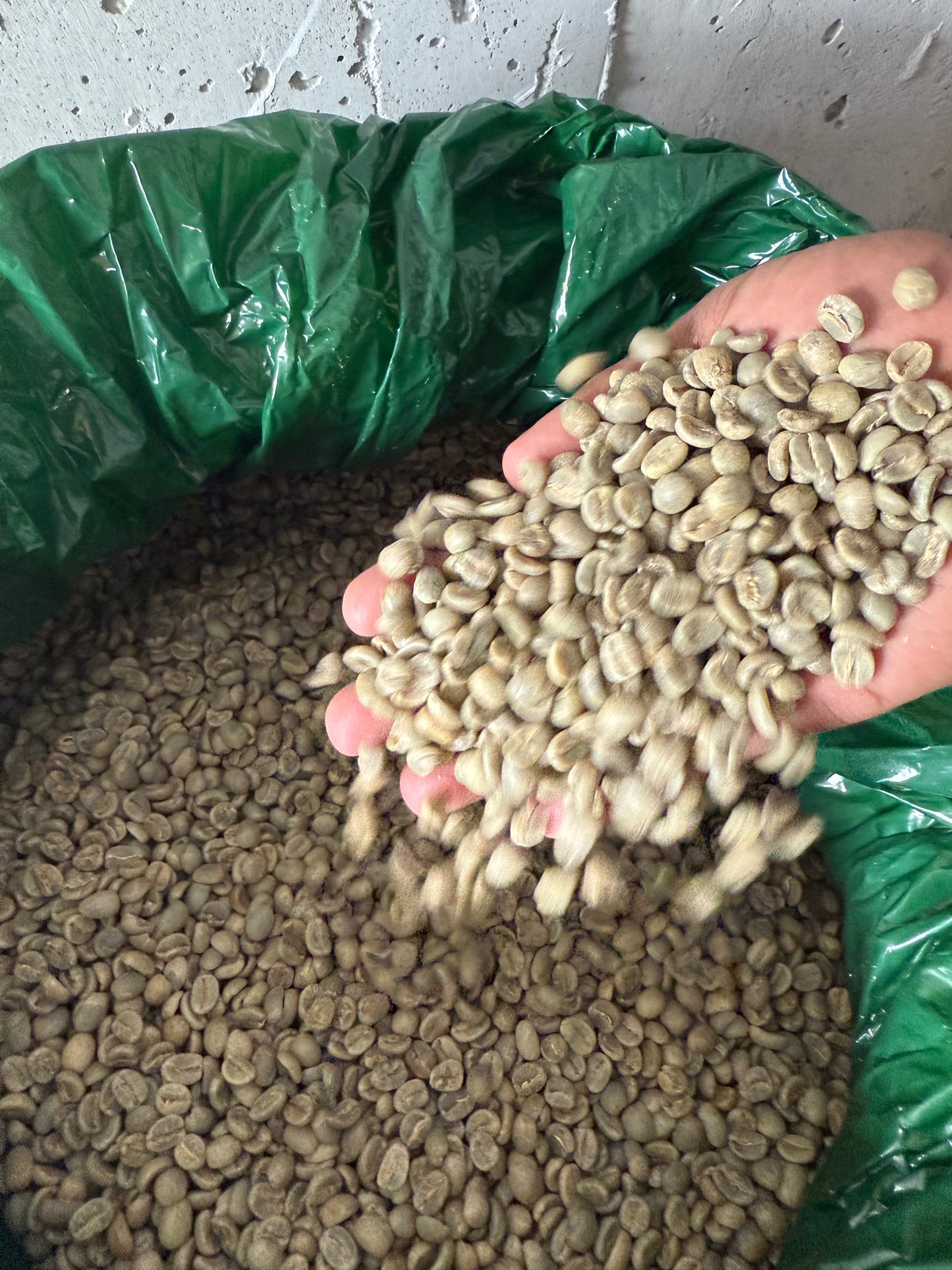 Kenya AA Plus - 340g