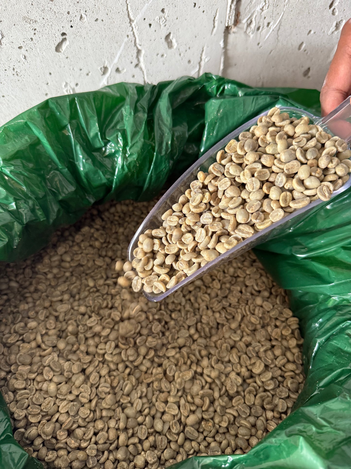 Kenya AA Plus  -  340g